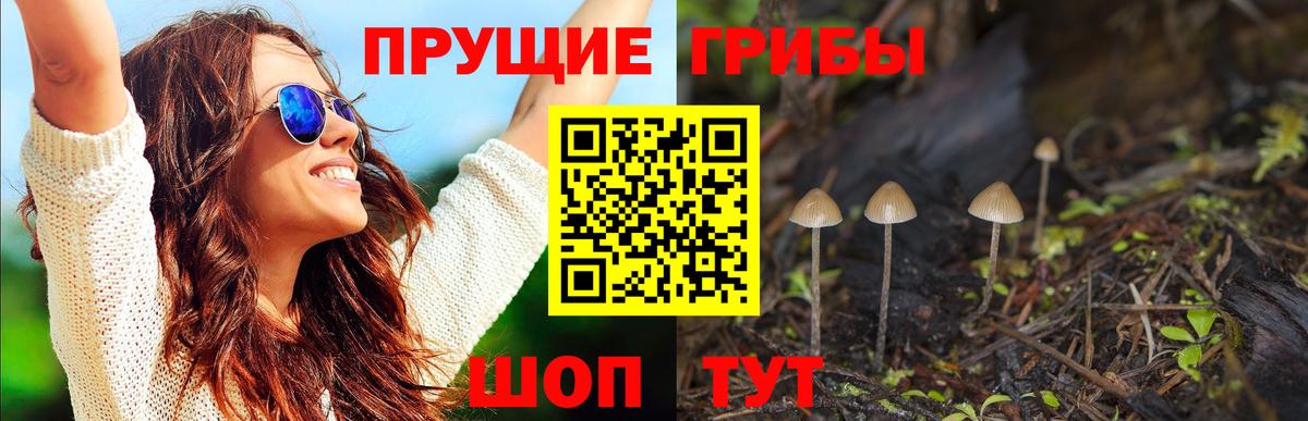 Псилоцибиновые грибы Magic Shrooms Дедовск